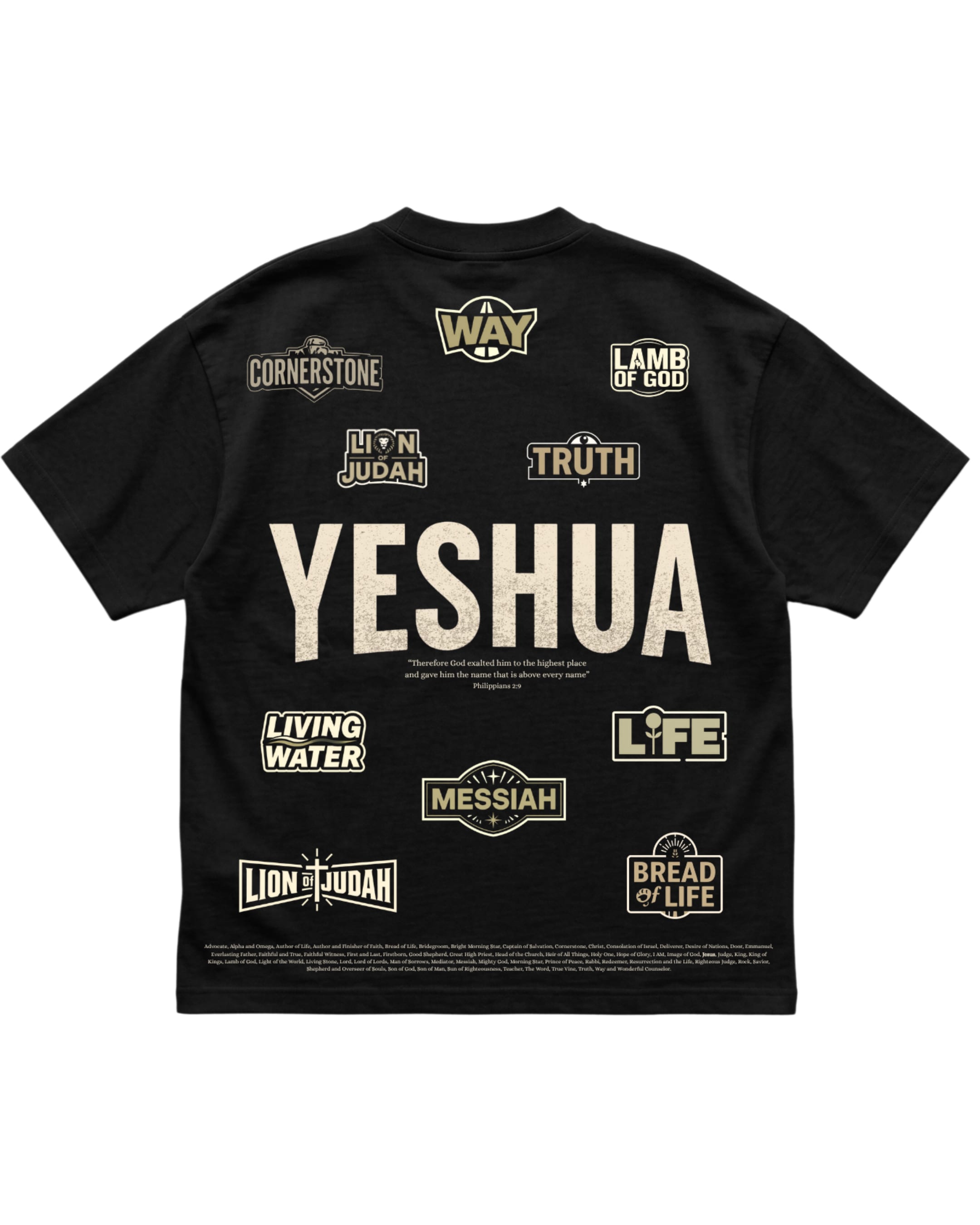 Above Every Name Tee, back view